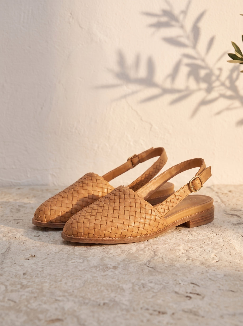 Bailarina Amalfi · Punta Trenzada con Hebilla